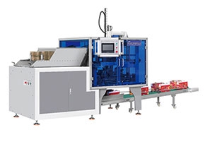 遼寧Fruit box molding machine